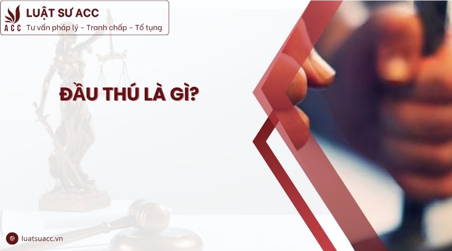 Đầu thú là gì?