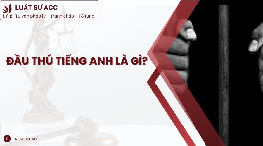 Đầu thú tiếng Anh là gì?