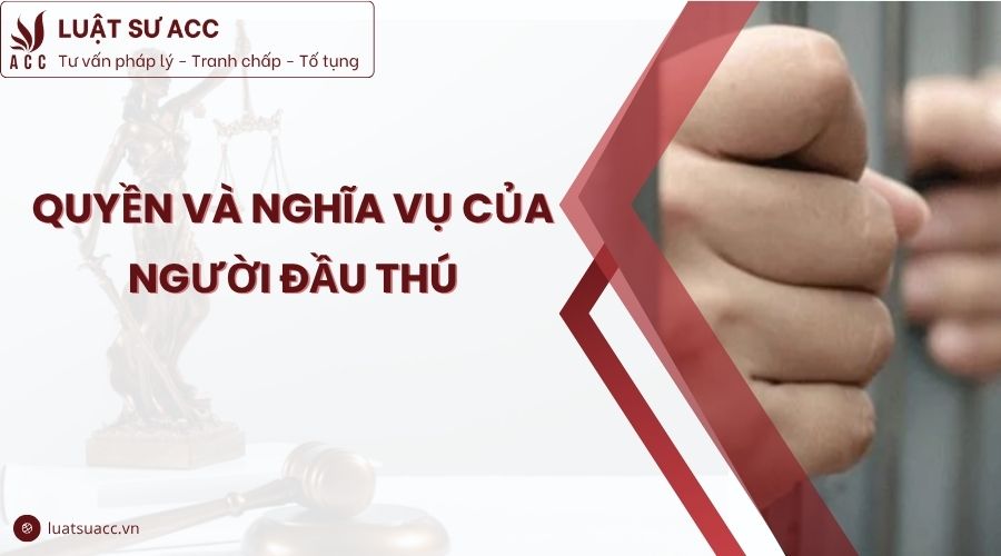 Quyền và nghĩa vụ của người đầu thú